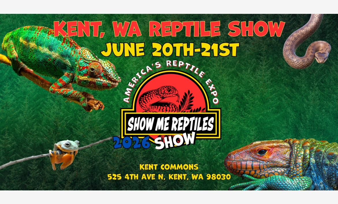 Kent Washington Reptile Show