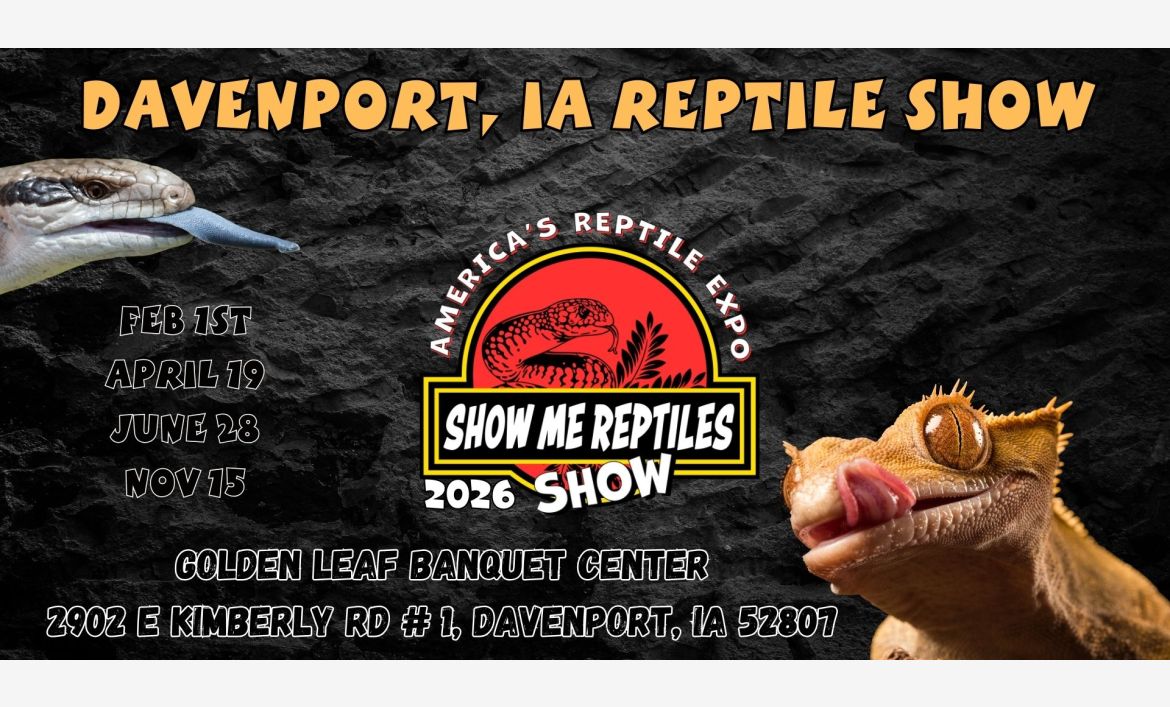 Davenport, Iowa Reptile Show 
America's Reptile Expo
Show Me Reptiles 2026 Show
Feb 1
April 19
June 28
Nov 15 
Golden Leaf Banquet Center
