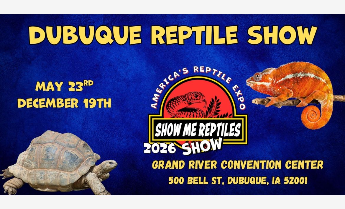 Dubuque Iowa Reptile Show
May 23
December 19 
Grand River Convention Center 
America's Reptile Expo
Show Me Reptiles 2026 Show