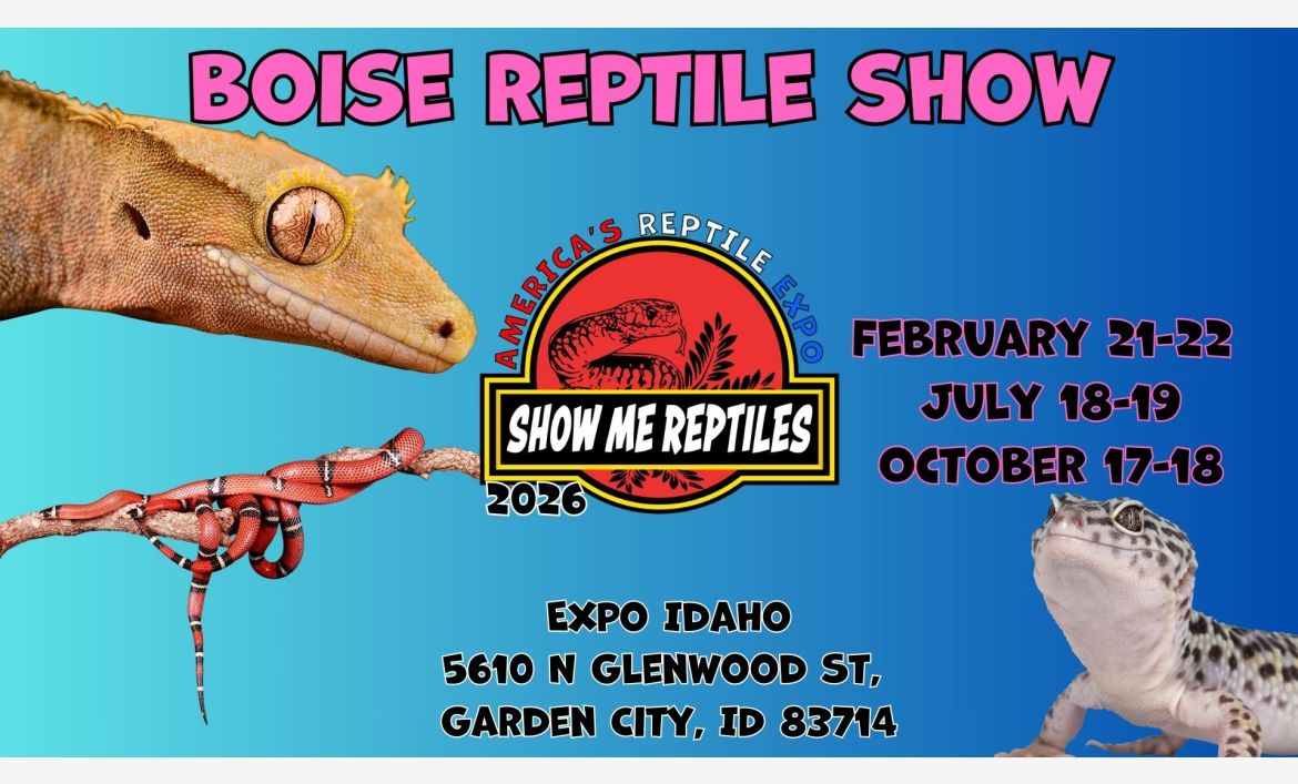 Boise Reptile Show 
Idaho Reptile Show
Boise, ID Reptile Show 
Boise, Idaho Reptile Show 
America's Reptile Expo
Show Me Reptiles 2026 Show