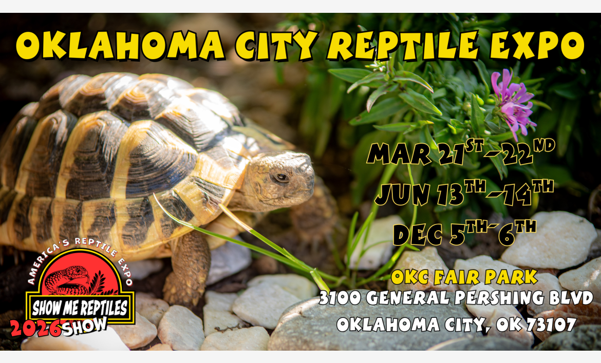 oklahoma city, oklahoma reptile expo 
America's Reptile Expo
Show Me Reptiles 2026 Show
located at OKC fair park 
mar 21 - 22
jun 13 - 14
dec 5 - 6 