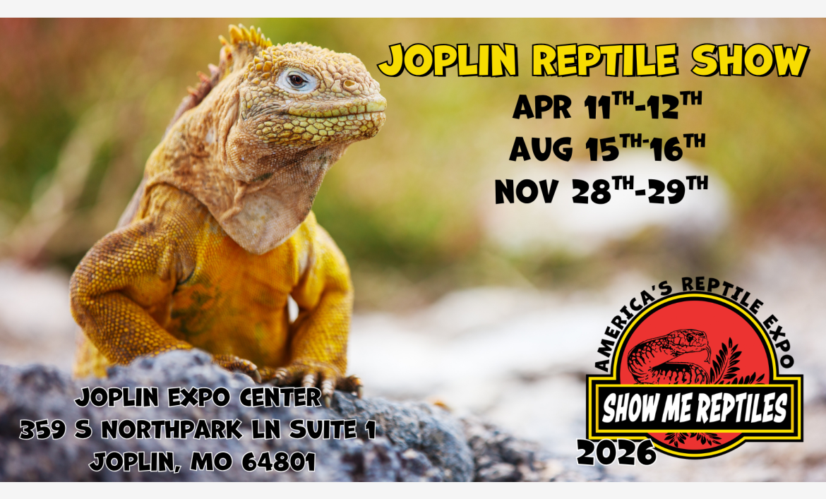 Joplin Missouri
April 11 - 12 
August 15 - 16
November 28 - 29 
America's Reptile Expo
Show Me Reptiles 2026 Show