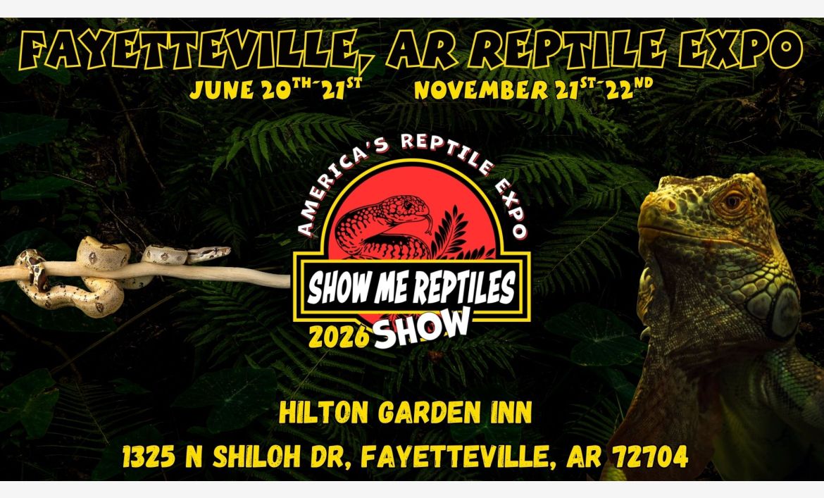 Fayetteville Arkansas Reptile Show