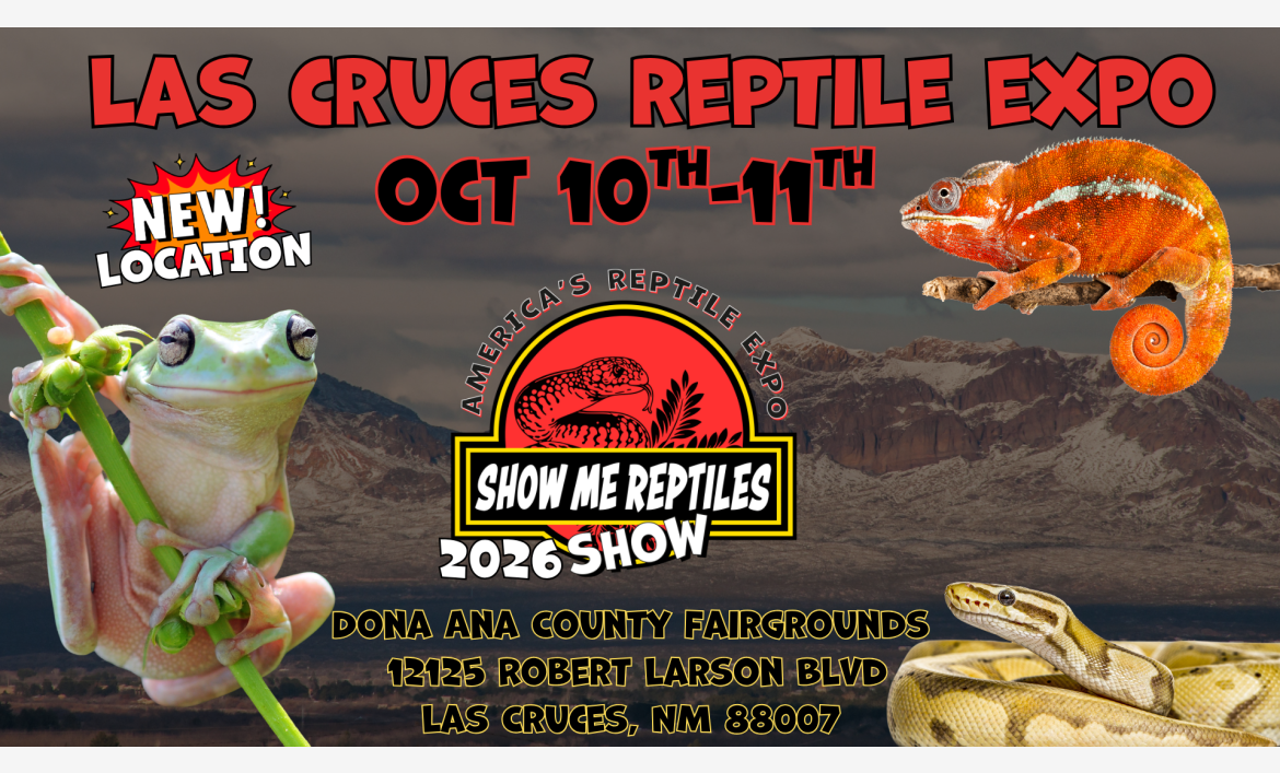 Las Cruces New Mexico Reptile Show