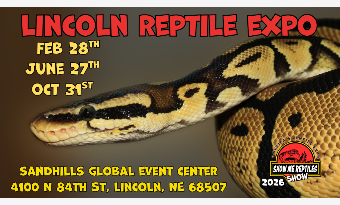 Lincoln Nebraska Reptile Show