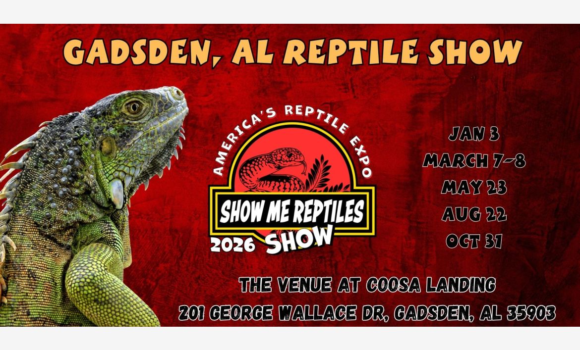 Gadsden Reptile Show 
Gadsden, AL reptile show 
Gadsde, Alabama Reptile Show 
Jan 3 
March 7th - 8th 
May 23
October 31
America's Reptile Expo
Show Me Reptiles 2026 Show