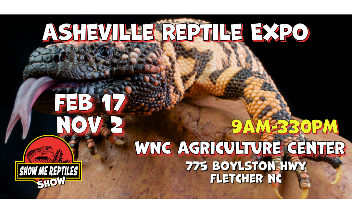 Asheville North Carolina Reptile Show