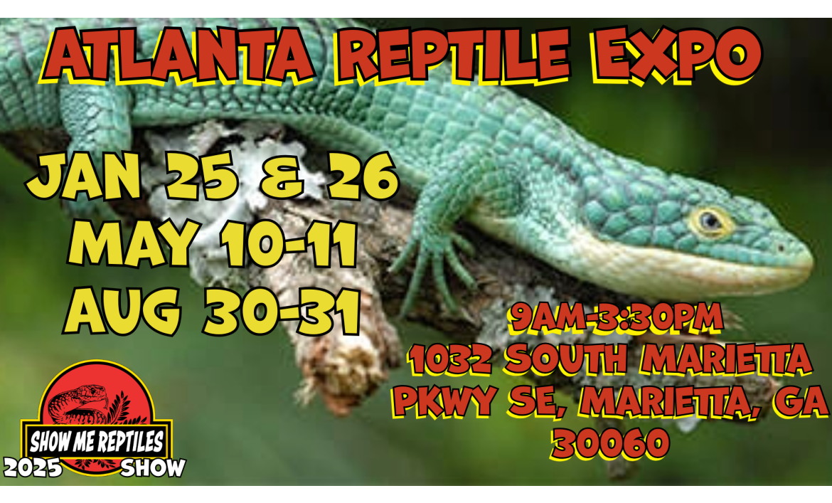 Reptile Shows Educational Reptile Events, Shows, and Expos