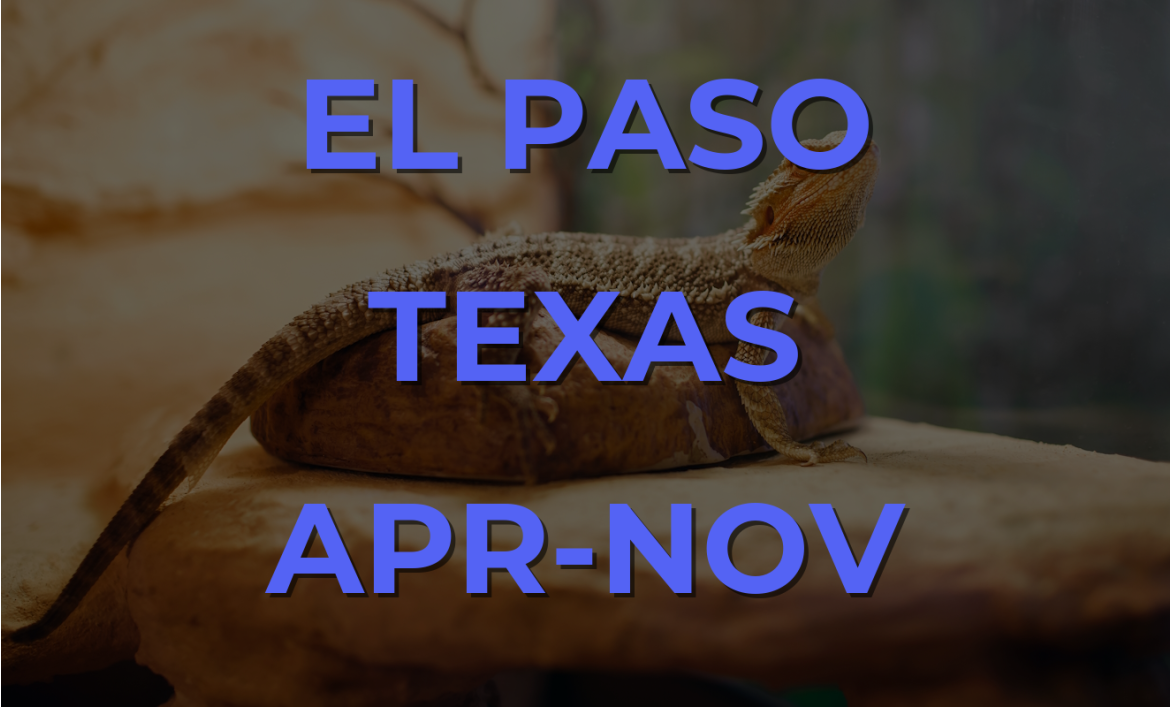 El Paso Texas Reptile Show