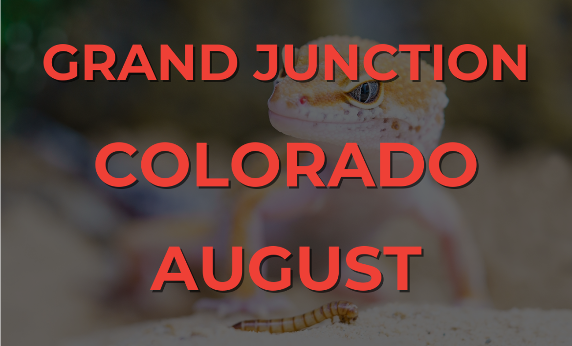 Grand Junction Colorado Reptile Show