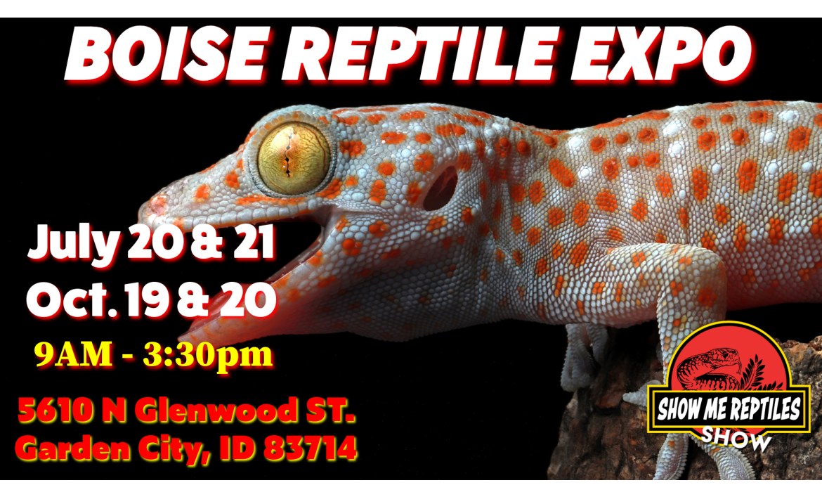 Boise Idaho Reptile Show