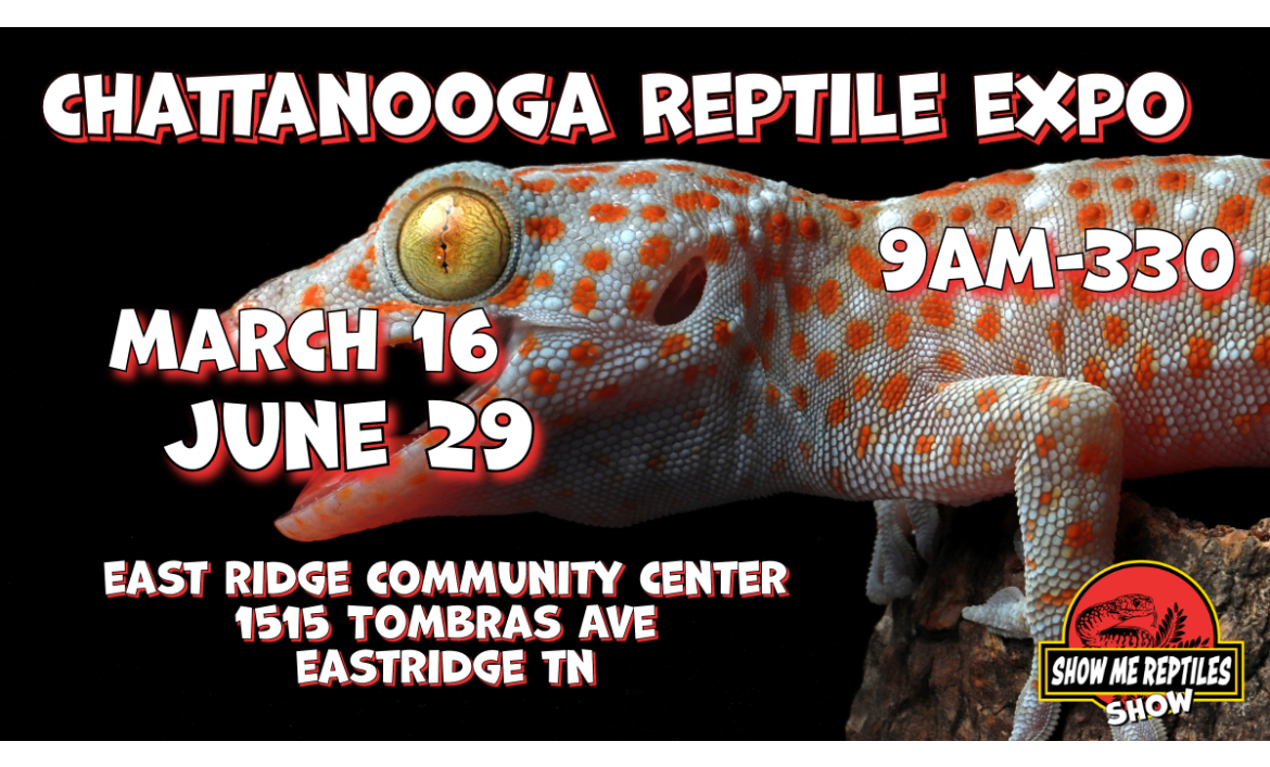 Chattanooga Tennessee Reptile Show