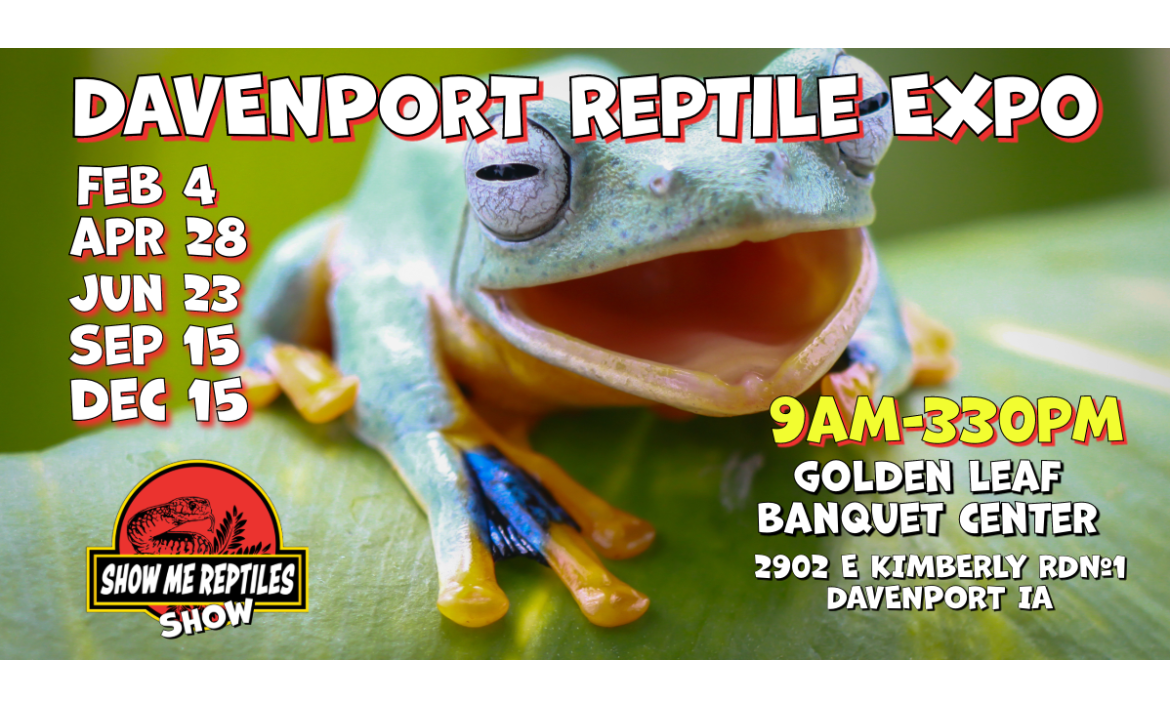 Davenport Iowa Reptile Show