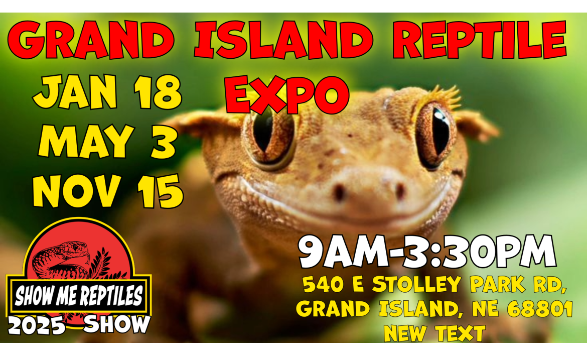 Shows Educational Reptile Events, Shows, and Expos