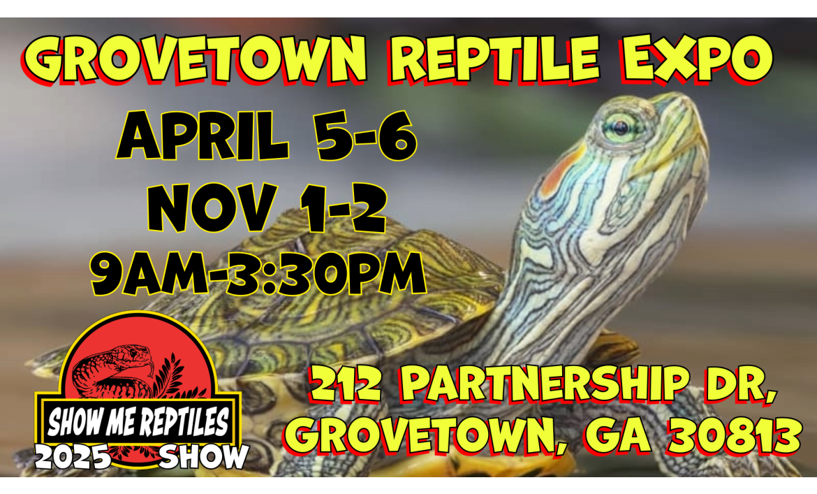 Shows Educational Reptile Events, Shows, and Expos