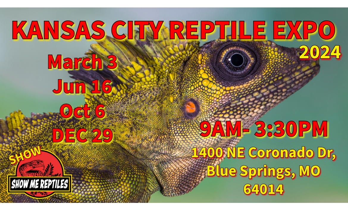 Blue Springs (Kansas City) Missouri Reptile Show
