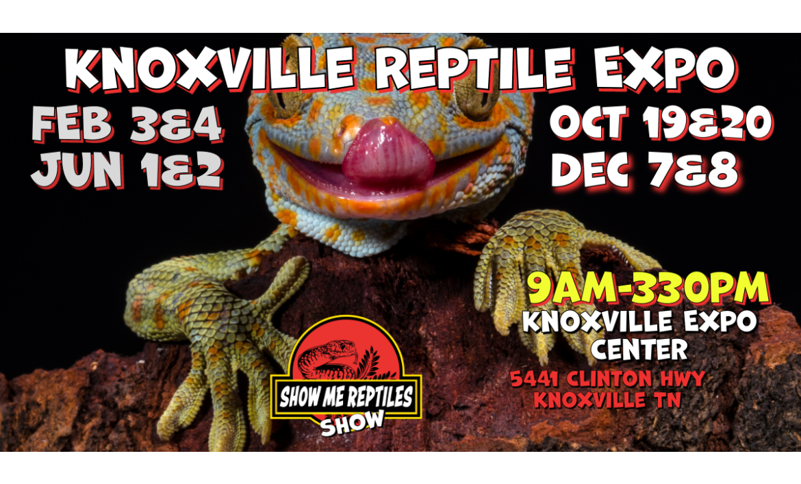 Knoxville Tennessee Reptile Show