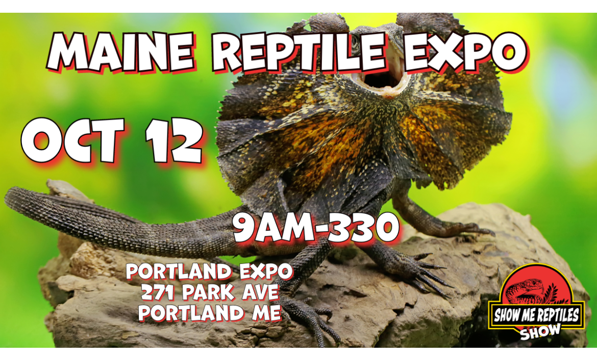 maine-reptile-expo