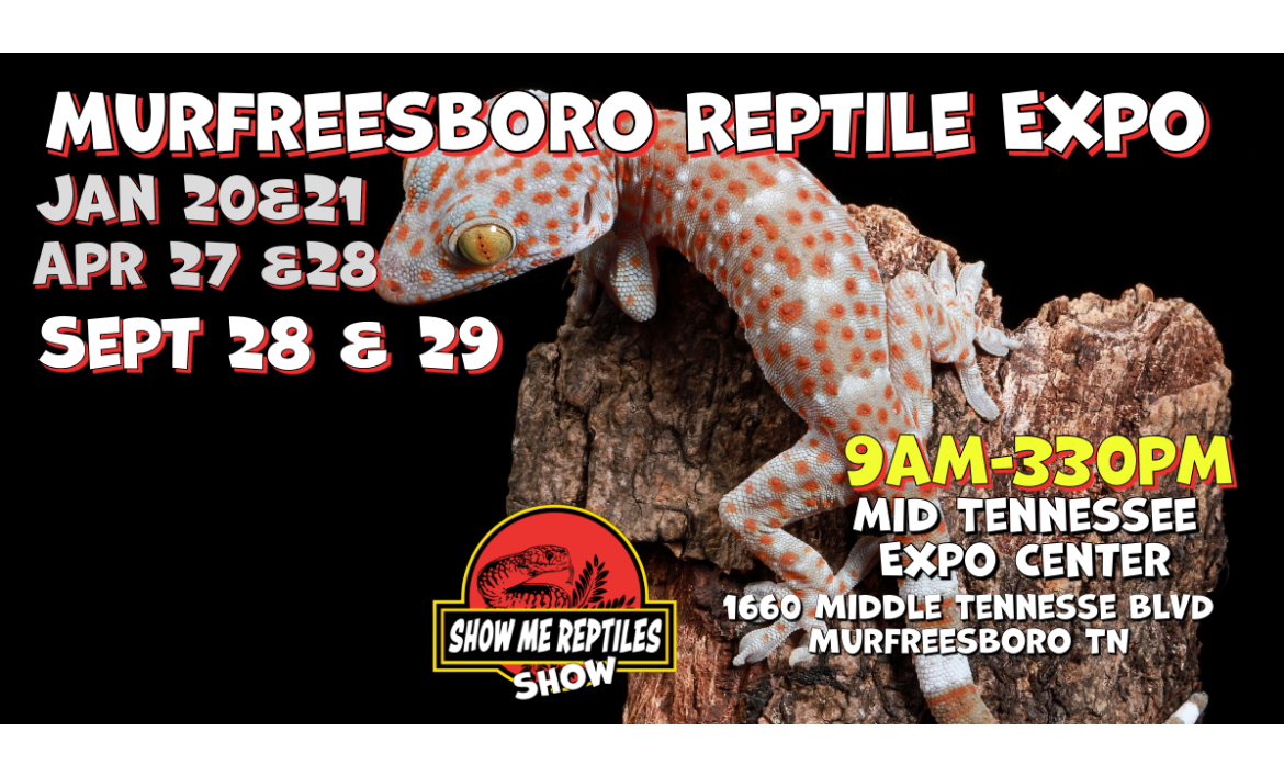 murfreesboro-reptile-expo