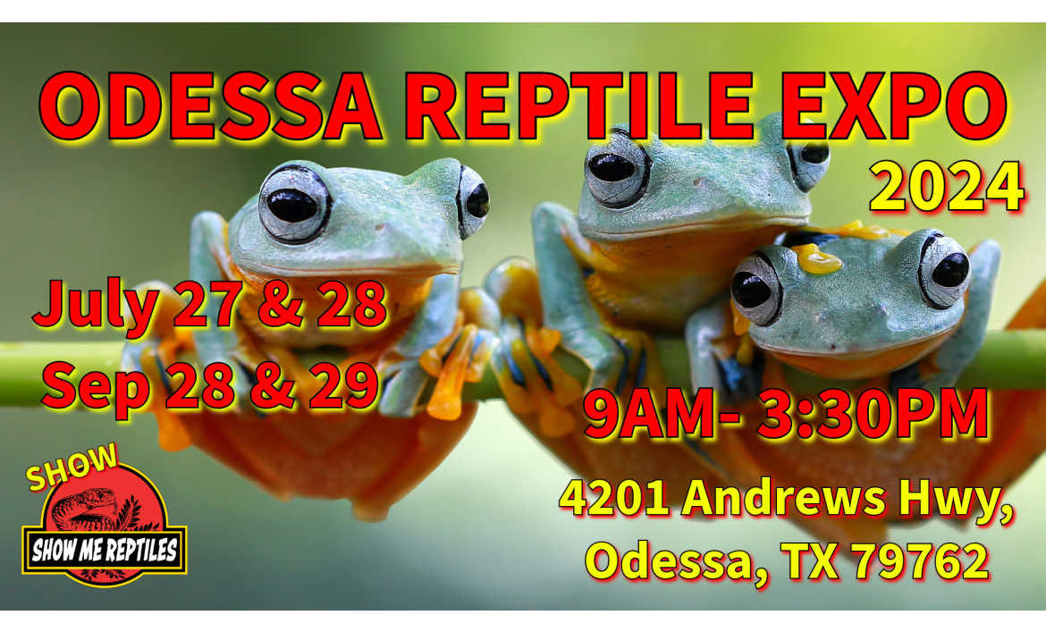 Odessa Texas Reptile Show