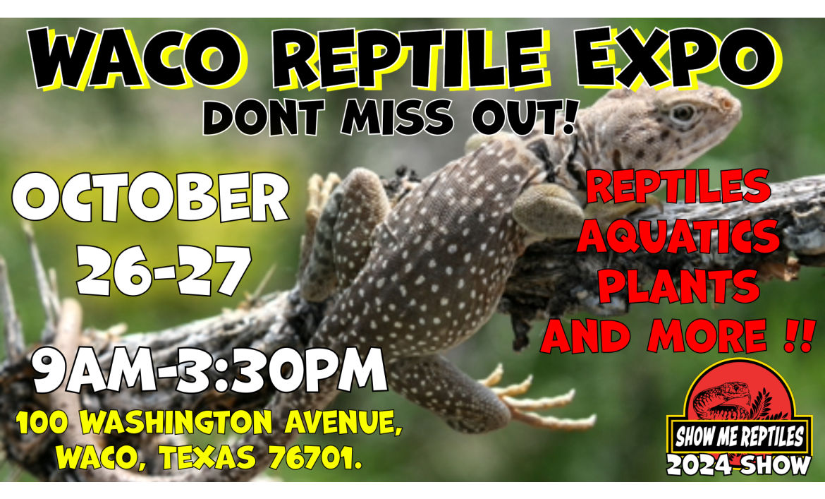 Texas Reptile Shows Educational Reptile Events, Shows, and Expos