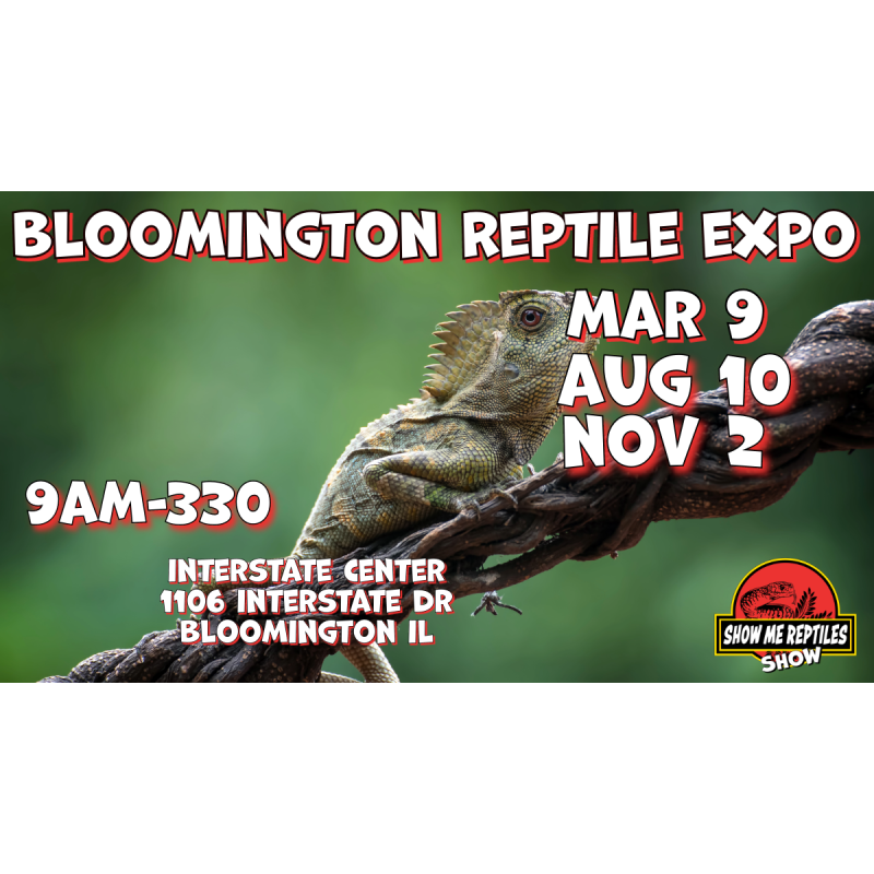 Bloomington Illinois Reptile Show Educational Reptile Events, Shows