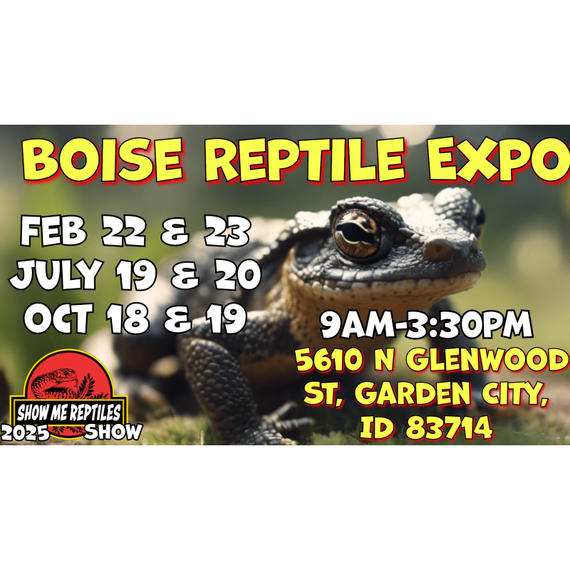 Boiseidahoshowmereptileshowexotic pet expo Educational Reptile