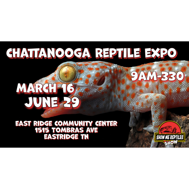Chattanooga Tennessee Show Me Reptile Show & Pet Expo Educational