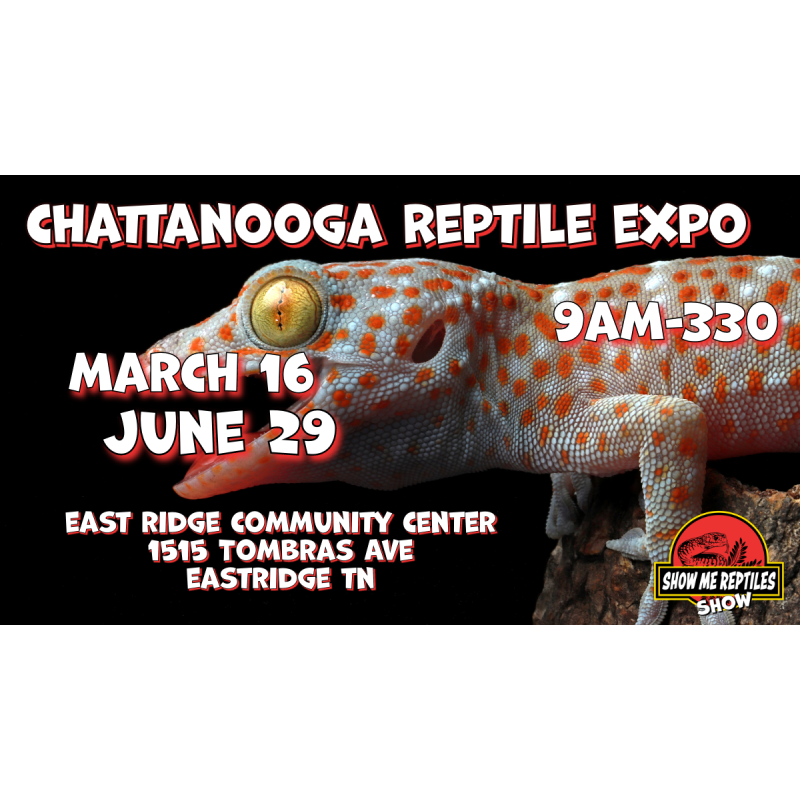 Reptile Show 2024 Near Me Vyky Regine