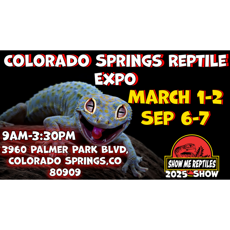 Colorado Springs Reptile Show March 2025 Educational Reptile Events, Shows, and Expos