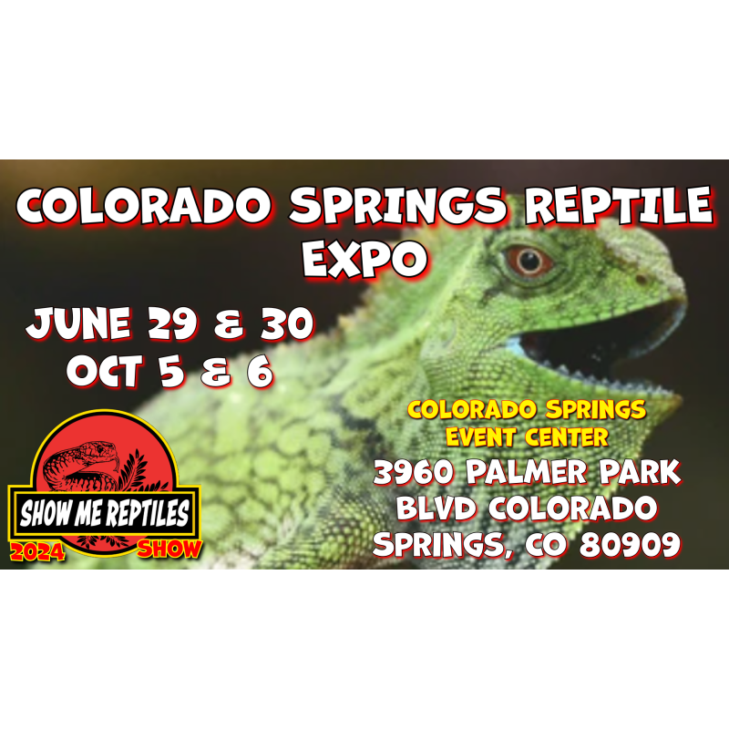 Colorado Springs Reptile Show Educational Reptile Events, Shows, and