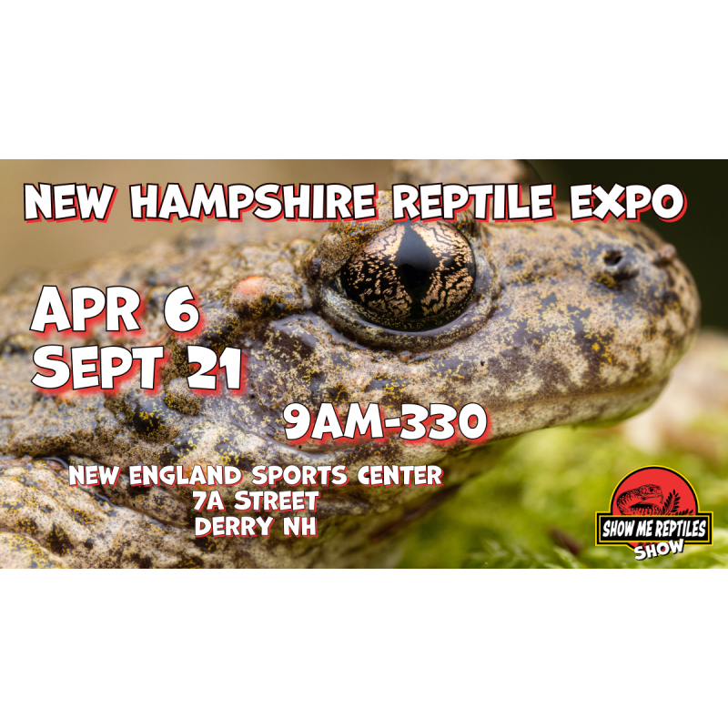 NewHampshireshowmereptileshowexotic pet expo Educational