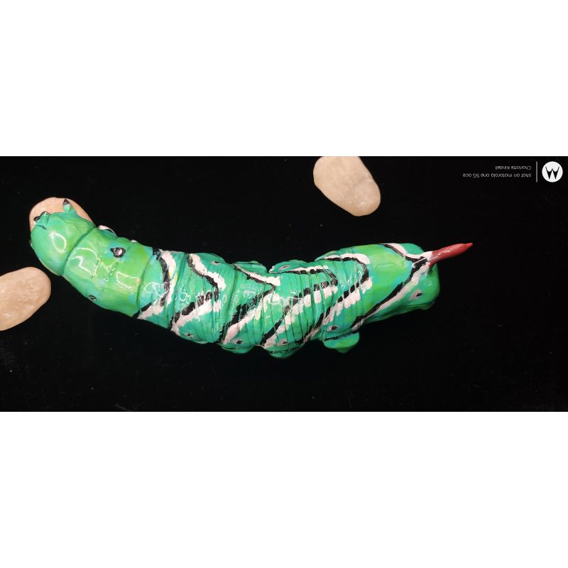 tobacco hornworm for sale Hornworm Sculpture