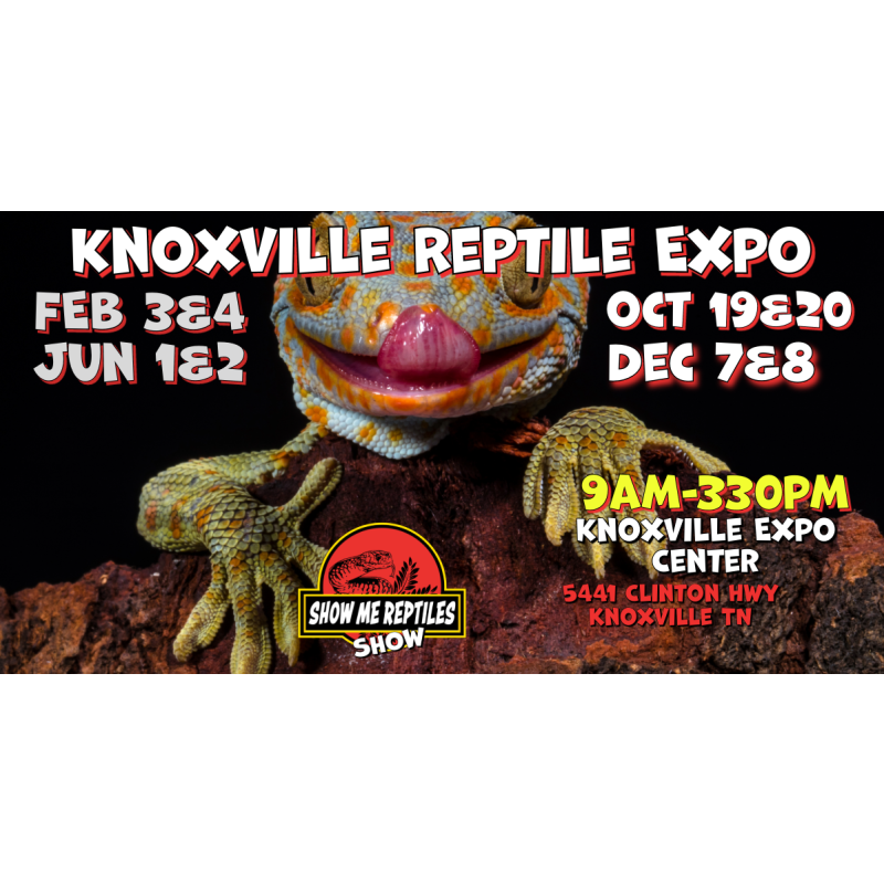 Knoxville Tennessee Reptile Show Educational Reptile Events, Shows