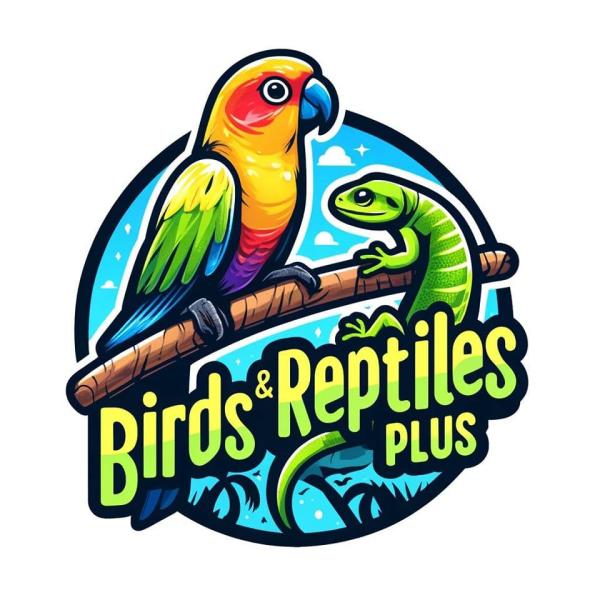 Vendor Logo