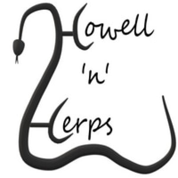 Vendor Logo