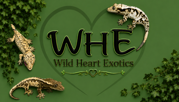 Vendor Logo