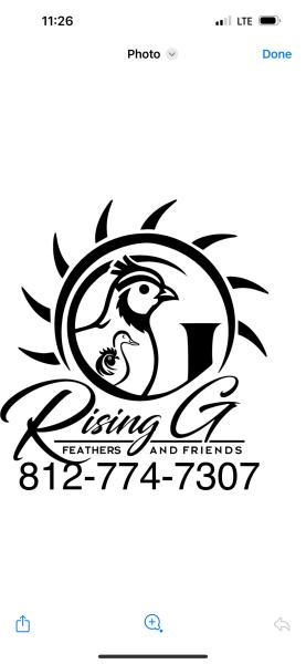 Vendor Logo
