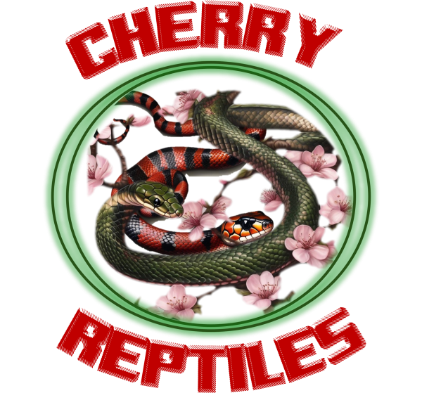 Vendor Logo