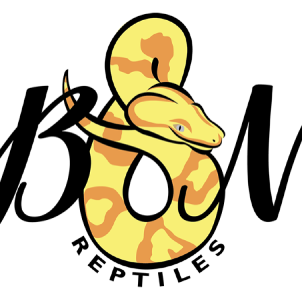 Vendor Logo