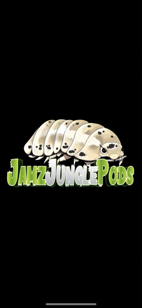 Vendor Logo