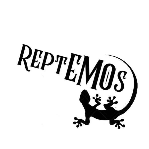 Vendor Logo