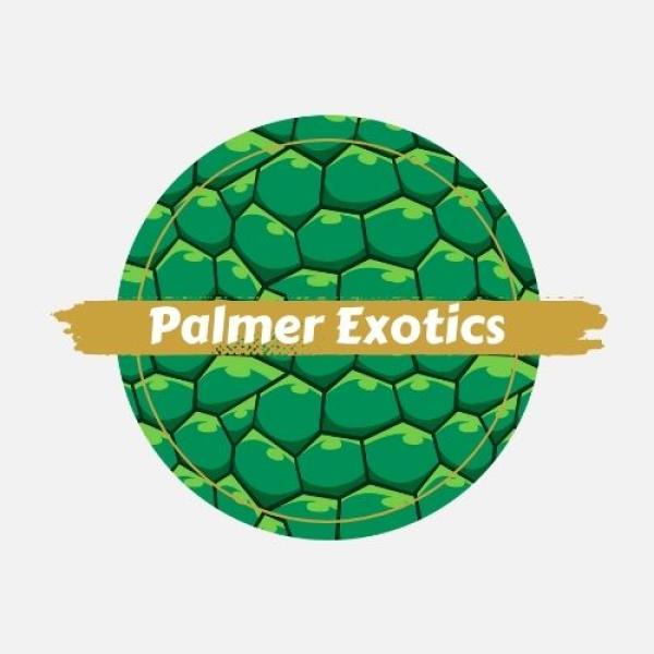 Vendor Logo