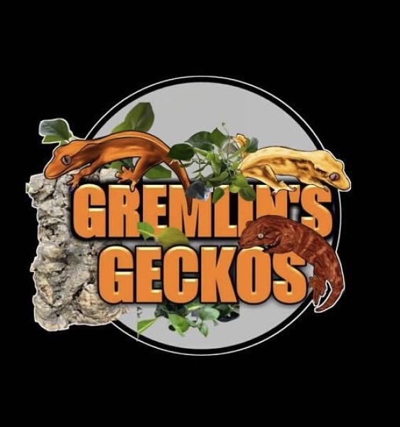 Vendor Logo