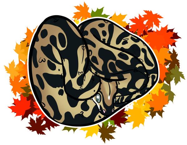 Vendor Logo