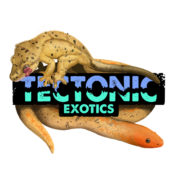 Vendor Logo