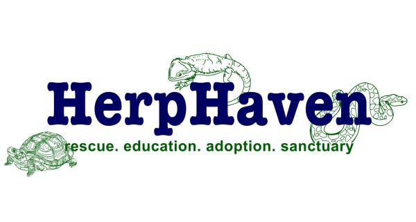 Vendor Logo