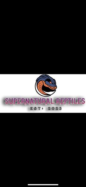 Vendor Logo