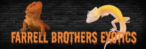 Vendor Logo