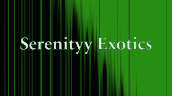 Vendor Logo